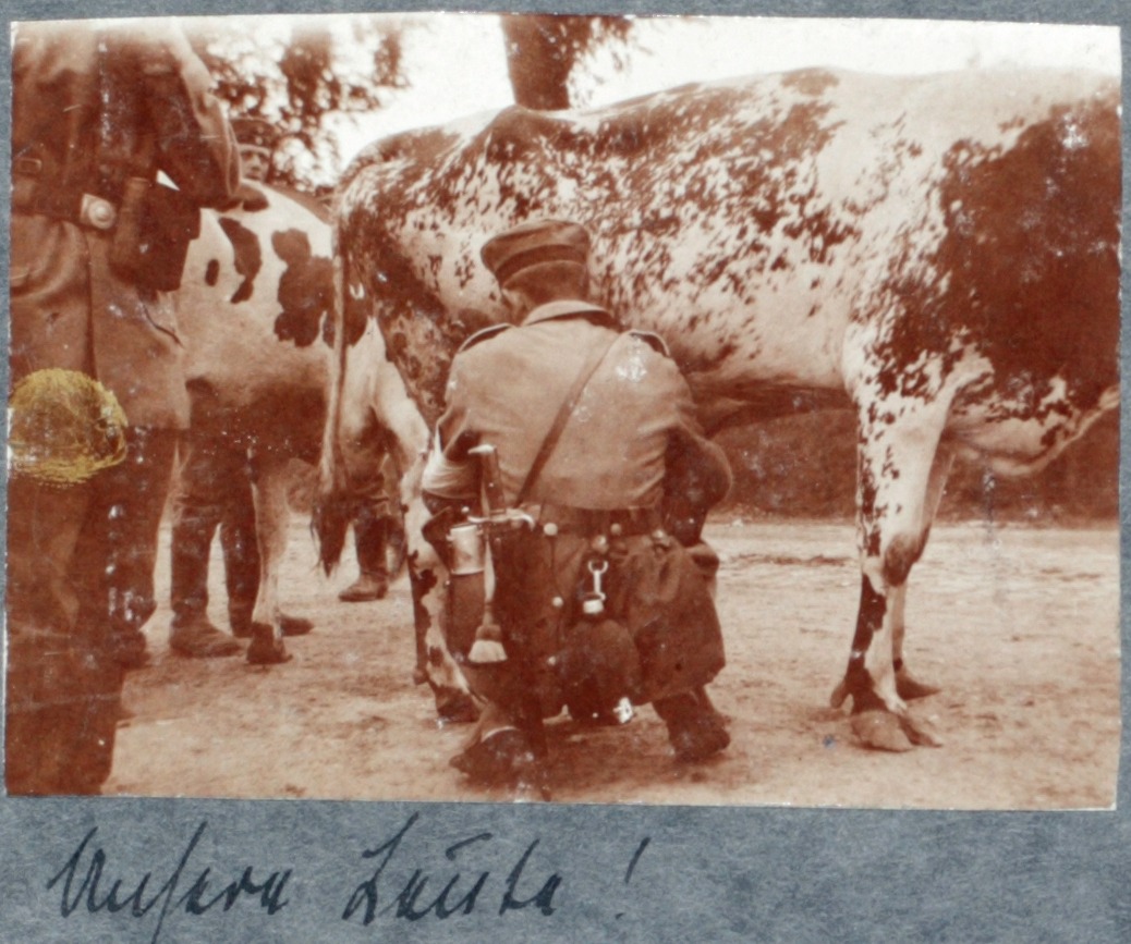 21. august 1914. Brev fra hjemmet – og rekvirering af et stykke kvæg med våbenmagt