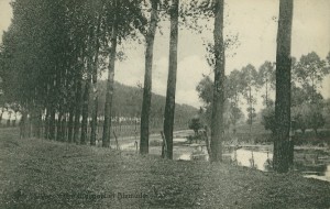 Postkort af Yserkanalen mellem Nieuport og Dixmude afsendt af Peter Knudsen d. 9. juni 1915 (Arkivet ved Dansk Centralbibliotek)