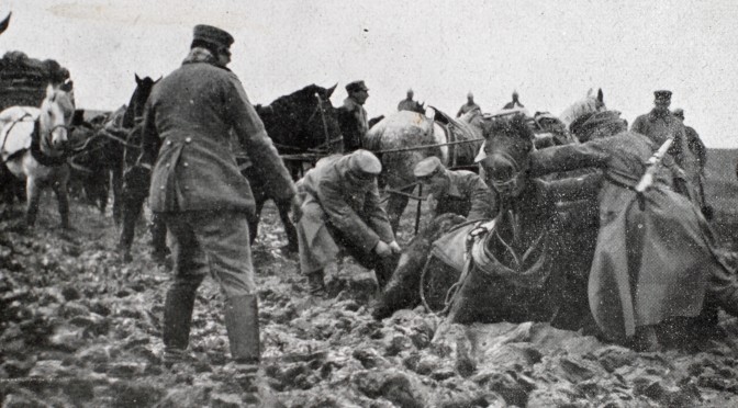 31. januar 1917. “Jeg har ærligt og redeligt hugget den!” Bergholt fodrer sine heste