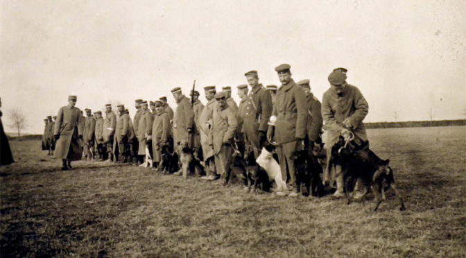 8. november 1917 – Danske officerer på vestfronttur: Krigshunde